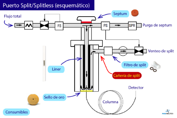 Esquema Split/Splitless inlet